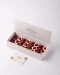 Berry Bites01